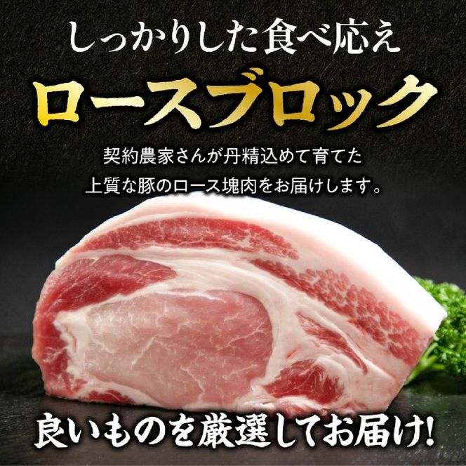 ひなた宮崎極豚ロース塊 500g×1P（豚肉 豚 ロース ブロック とんかつ トンテキ 生姜焼き）