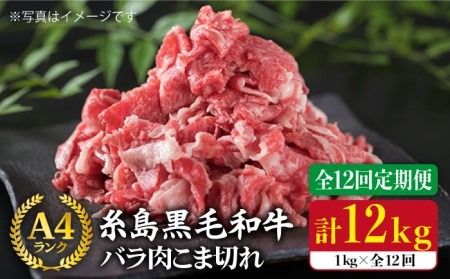 【全12回定期便】糸島黒毛和牛 バラ 肉 こま切れ 1kg × 12回 (牛丼 / 肉じゃが 用 )《糸島》【糸島ミートデリ工房】 [ACA162]