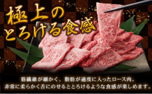 牛肉の甘みとコク！特選☆佐賀牛ロース焼肉用 400g 国産 黒毛和牛 霜降り BBQ ご褒美 グルメ ご馳走 ディナー 冷凍