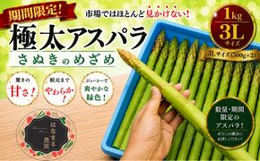 期間限定！極太アスパラ 【さぬきのめざめ1kg】  3Lサイズ 野菜セット 野菜 アスパラガス 