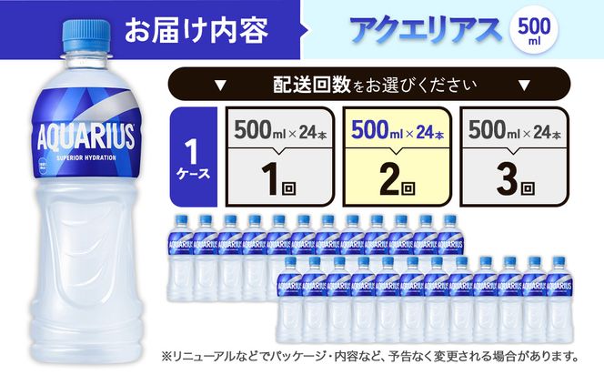 【2回定期便】アクエリアス 500ml PET × 24本 1ケース 毎月 2回 AQUARIUS スポーツドリンク スポーツ飲料 ペットボトル 熱中症対策 水分補給 コカ・コーラ Coca-Cola 運動 送料無料