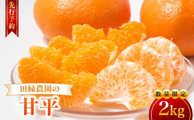【先行予約】【数量限定】田縁農園の甘平（かんぺい）2kg ※離島への配送不可 （2027年1月25日より順次発送） IKTA028