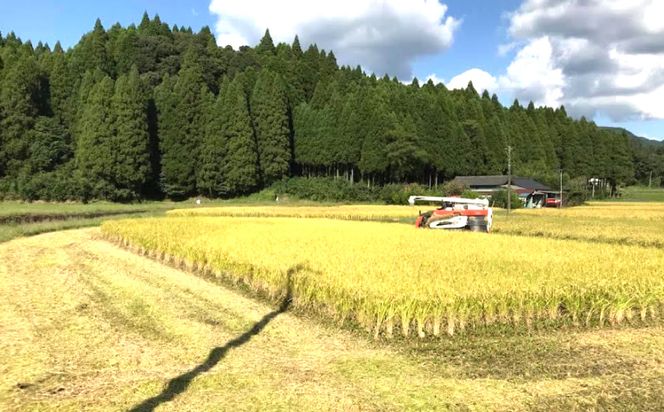 【令和8年産】えびの産 ヒノヒカリ やまのおこめ 5kg 白米 お米 米 国産 宮崎県 九州 ひのひかり 送料無料 おにぎり こめ コメ