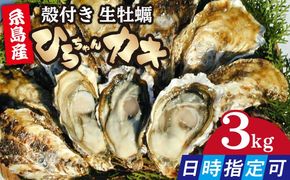 加熱用 殻付き牡蠣 3kg 真牡蠣 活牡蠣 ひろちゃんカキ / 糸島市[AJA003]
