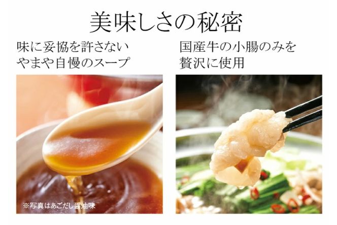 もつ鍋 博多もつ鍋やまや もつ鍋セット あごだし醤油味 1～2人前 [やまやコミュニケーションズ 福岡県 宇美町 um40azo860001] もつ鍋セット モツ鍋 国産 牛もつ 牛モツ 牛ホルモン