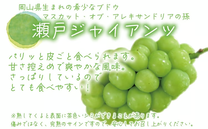 【2026年先行予約】 ぶどう 岡山 花笑み農園の『シャインマスカット&瀬戸ジャイアンツ』1kg (2房) / ぶどう ブドウ 葡萄 シャインマスカット 瀬戸ジャイアンツ 先行予約 フルーツ 果物 真庭市 【hana046-02】