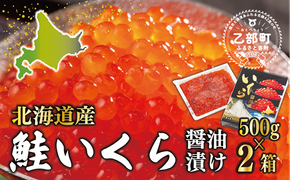 【2025年度産】＜いくら醤油漬　2パック（500ｇ×2箱）＞鮮度にこだわる「笹谷商店」の絶品の醤油タレで漬けたいくら（検索：イクラ 鮭いくら 鮭イクラ 醤油いくら 醤油イクラ いくら醤油漬け イクラ醤油漬け 醤油漬 いくら丼 秋鮭 国産 北海道産 北海道乙部町 日本海 冷凍 人気 使い道 ふるさと納税）