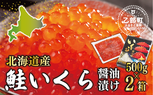 【2025年度産】＜いくら醤油漬　2パック（500ｇ×2箱）＞鮮度にこだわる「笹谷商店」の絶品の醤油タレで漬けたいくら（検索：イクラ 鮭いくら 鮭イクラ 醤油いくら 醤油イクラ いくら醤油漬け イクラ醤油漬け 醤油漬 いくら丼 秋鮭 国産 北海道産 北海道乙部町 日本海 冷凍 人気 使い道 ふるさと納税）