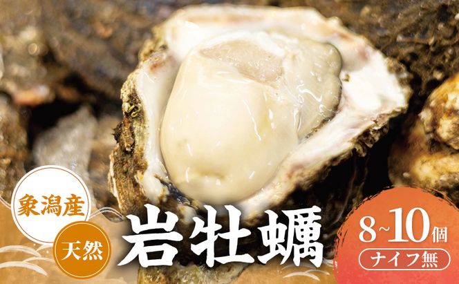 【先行予約 7月上旬～下旬発送予定】象潟産 天然岩牡蠣 8～10個 ナイフ無【牡蠣 夏牡蠣 かき 象潟 生食可 魚介類 海鮮　海産物 海の幸】　