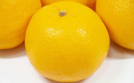 【先行受付】特別栽培ポンカン 10kg サイズミックス 柑橘 ポンカン ぽんかん フルーツ 果物 果実 九州産 熊本県 上天草市【2027年1月上旬から2月下旬発送予定】