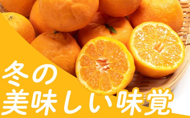 山北ポンカン 家庭用 3kg(約18～30個程度) - 果物 フルーツ 柑橘類 ぽんかん ミカン 蜜柑 訳アリ わけあり 生産者応援 甘い おいしい 美味しい 山北みらい yk-0068