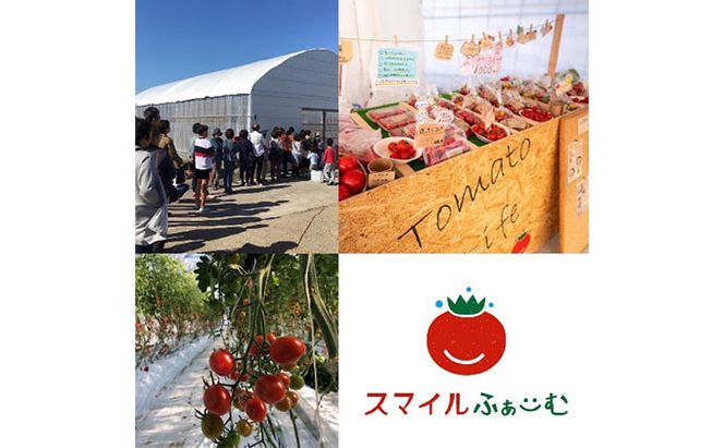 トマトジュース詰め合せセット 果汁飲料 野菜飲料 野菜 