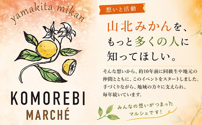 みかん 【2026年11月中旬より順次配送】10kg 訳アリ 山北みかん 露地(Ｓ～Ｍ) Ｂ品 高橋農園 訳あり - 果物 フルーツ ミカン 蜜柑 柑橘 家庭用 自宅用 新鮮 農家直送 露地 th-0032