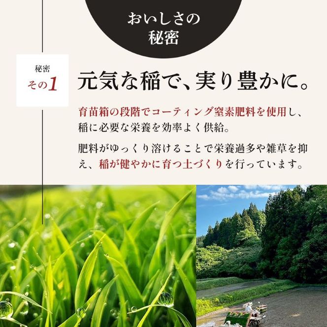 令和7年産 精米 ひとめぼれ 3kg 2ヵ月定期便 宮城県大河原町産 米 お米 白米 こめ コメ 令和7年 宮城県産