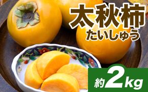 【先行予約】 太秋柿 約2kg（4～8玉） フルーツ くだもの 果物 柿 かき カキ おやつ デザート 秋の味覚 秋 旬 熊本県 八代市 【2026年10月上旬より順次発送】