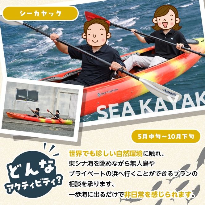 期間限定実施 シーカヤック体験チケット(4時間/3名) 阿久根 シーカヤック アウトドア アクティビティ 自然 体験 ツアー チケット マリンスポーツ【パズル】akn098-11