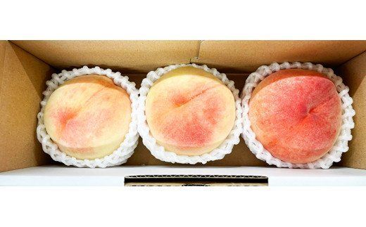 秀品　紀州和歌山産の桃　3玉　化粧箱入　※2026年6月下旬頃〜2026年8月上旬頃順次発送（お届け日指定不可）【uot750】