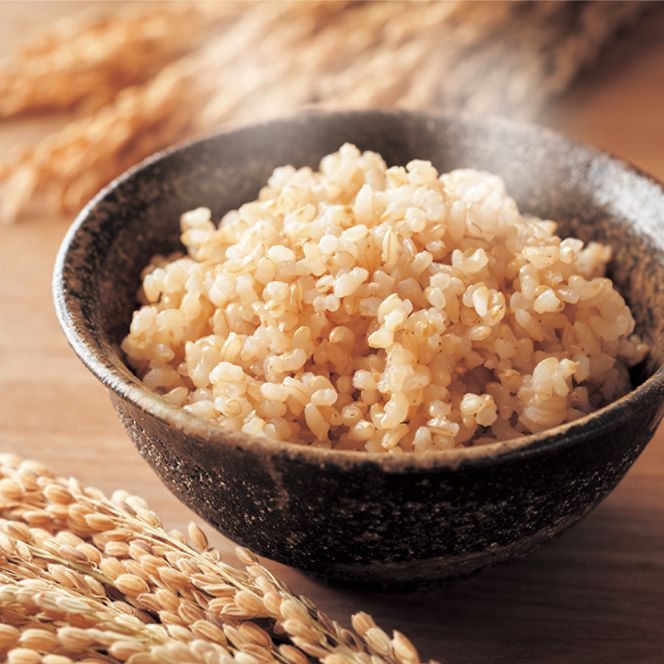 令和7年産 早炊 玄米  きぬむすめ 2kg×3袋 岡山県産　お米 国内産 ご飯 おにぎり お弁当 和食 国産 産地直送 玄米食 玄米の栄養素 