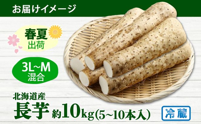 北海道産 長いも 春夏出荷 約10kg 2026年5月上旬～6月下旬頃お届け 長芋 ながいも とろろ 農作物 野菜 新鮮 根菜  山かけ 産地直送 お取り寄せ 送料無料 冷蔵 北海道 洞爺湖町