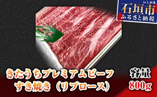 yꌧΊ_szAM-13-1 v~Ar[t@Ăiu[Xj800