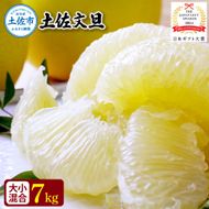 【先行予約】園主こだわりの土佐文旦 7キロ 大小混合（４L～Mサイズ） 2027年1月下旬より順次発送 ぶんたん ブンタン 柑橘 みかん フルーツ 果物 家庭用 お取り寄せ 土佐 高知【やの一果彩】 [BQAC014]