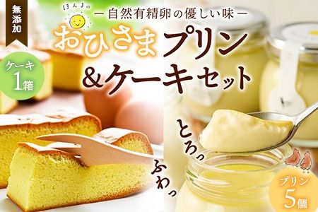 yꌧ_szЂ܃v&P[LZbgyXC[c  Y L ~q  v v}bv z(H073110)