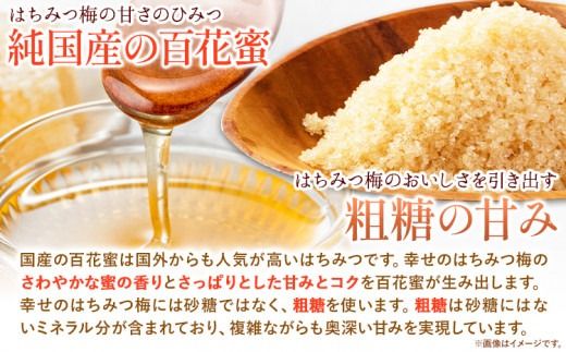 幸せの はちみつ 梅 700g 有限会社 樽の味《30日以内に出荷予定(土日祝除く)》和歌山県 日高川町 送料無料 梅 梅干し はちみつ うめぼし 蜂蜜 紀州 南高梅 ごはんのお供 おつまみ にも最適！ 漬け物 美味しい 漬物 おかず 紀州---wshg_tra34_30d_26_15000_700g---
