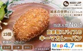 1127.【子供も大好き！】自家製スパイスのキーマカレーパン15個 313726_BD008