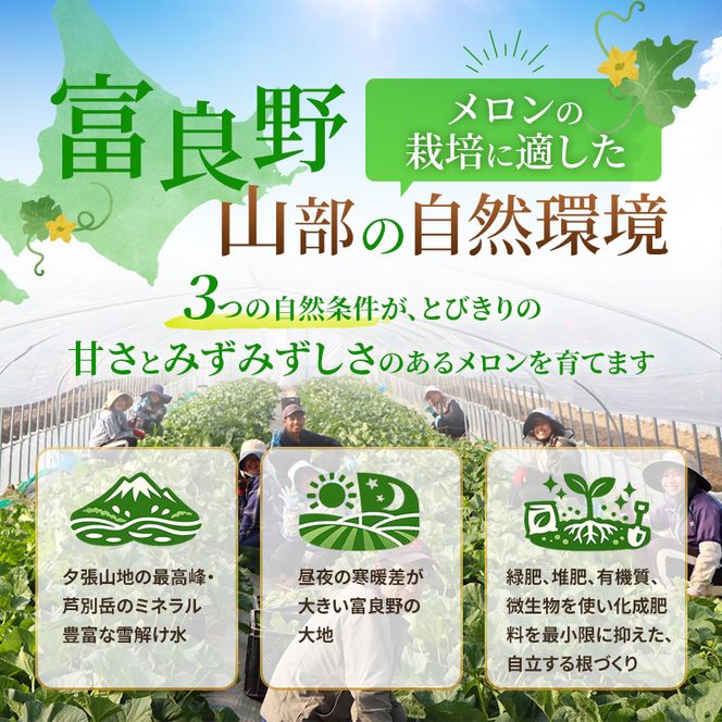 【2026年夏発送】富良野メロン 山部の絶品『鳳凰』3L 2玉 計4kg以上 メロン 赤肉 大玉 北海道