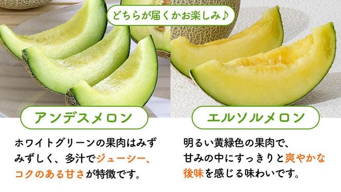【6月上旬頃より発送】茨城県産 青肉・赤肉メロンセット 秀品または優品 3Lまたは4Lサイズ×各1玉入 おすすめ JA全農いばらき JA メロン めろん フルーツ くだもの 果物 国産旬 定番 旬 期間限定 青肉 赤肉 食べ比べ アンデス クインシー エルソル