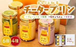 チータープリン 6 個 セット ( プレーン × 3 抹茶 塩 キャラメル イチゴみるく ) 冷蔵 プリン 子供向け スイーツ デザート ギフト お土産  贈答用 お歳暮 まるごと知多チータプリン 愛知県 南知多町 【配送不可地域：離島・北海道・沖縄県・東北・中国・四国・九州】