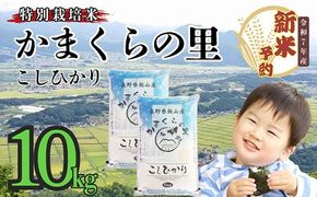 【先行予約】（5月19日の受付より寄附金額改定）[令和７年産] 特別栽培米 「かまくらの里コシヒカリ」 精米 10㎏ (7-2)