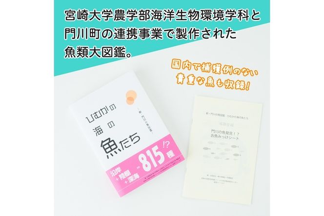 新・門川の魚図鑑と魚かるたセット！お魚 知育 学習 本 書籍 玩具 おもちゃ カードゲーム【AI-4】【門川町地域振興課】