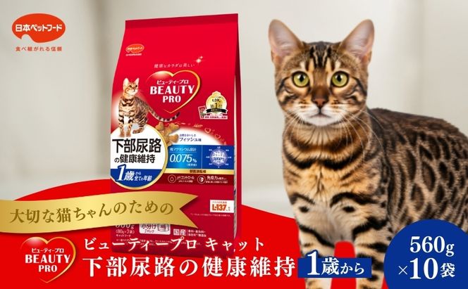 日本ペットフード ビューティープロ キャット 下部尿路の健康維持 1歳から 560g（80g×7袋入）×10袋（ケース） キャットフード