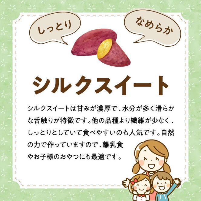 干し芋 シルクスイート 100g×8袋　N063-YZA483