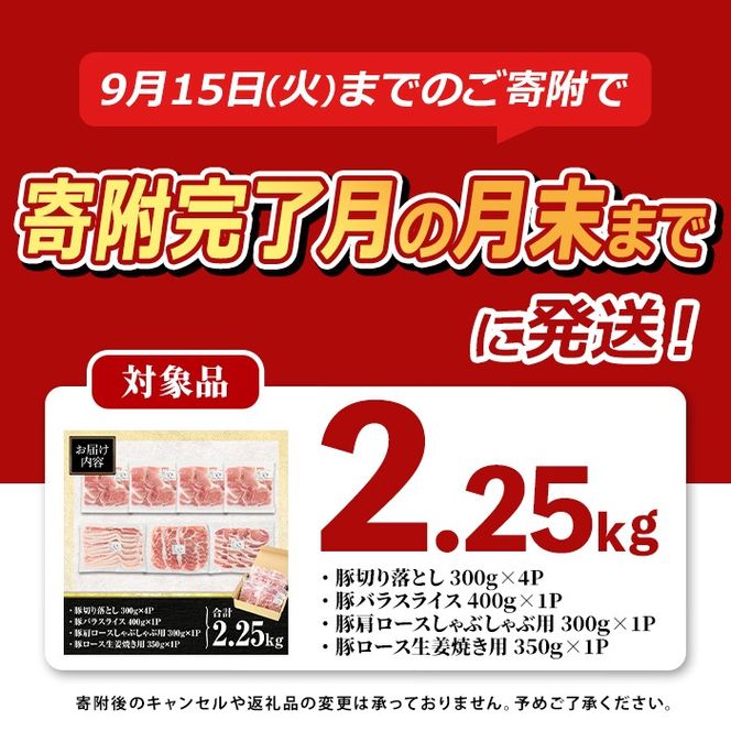 isa429 【寄附完了月の月末までに発送！】九州産 豚肉4種セット (合計2.25kg) 国産 切り落とし バラスライス 肩ロース ロース しゃぶしゃぶ 生姜焼き 真空包装 真空パック ファスナー 小分け ぶたにく 豚 肉 詰合せ 詰め合わせ 冷凍 【サンキョーミート株式会社】