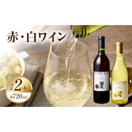 小牧ワイナリー 赤・白ワイン２本セット（小牧産ぶどう100％使用）［026A10］