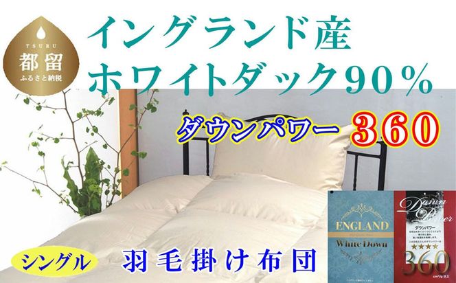 羽毛布団【イングランド産ホワイトダウン90%】【ダウンパワー360】シングル CK523