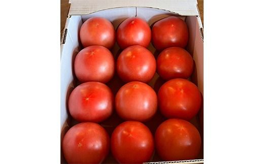 トマト「プリマドンナ」・「桃太郎」・「かれん」ギュッと美味しさ詰まったトマト 2kg 箱入り ※離島への配送不可 ※2026年2月～4月下旬頃に順次発送予定