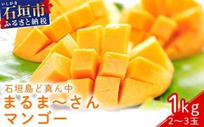 ＜先行予約＞「マンゴー」 ⽯垣島ど真ん中 まるま〜さん マンゴー 1kg (2～3玉) ≪2026年7月頃より順次発送予定≫ (アーウィン種)【 産地直送 マンゴー アーウィンマンゴー アップルマンゴー 沖縄県 八重山 石垣産 アーウィン種 マンゴー フルーツ 果物 】 IT-1