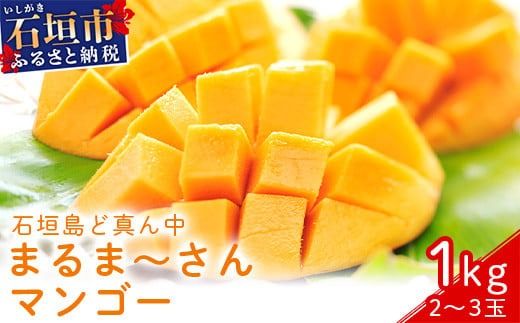 yꌧΊ_szs\񁄁u}S[v ?_ǐ^ ܂? }S[ 1kg (2`3) 2026N7菇\ (A[EB)y Yn }S[ A[EB}S[ Abv}S[ ꌧ dR Ί_Y A[EB }S[ t[c ʕ z IT-1