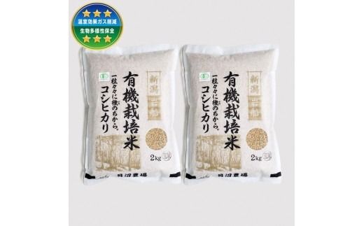 【令和7年産米】 有機栽培米コシヒカリ 玄米4kg（2kg×2）新潟県村上市岩船産 オーガニック　1067151