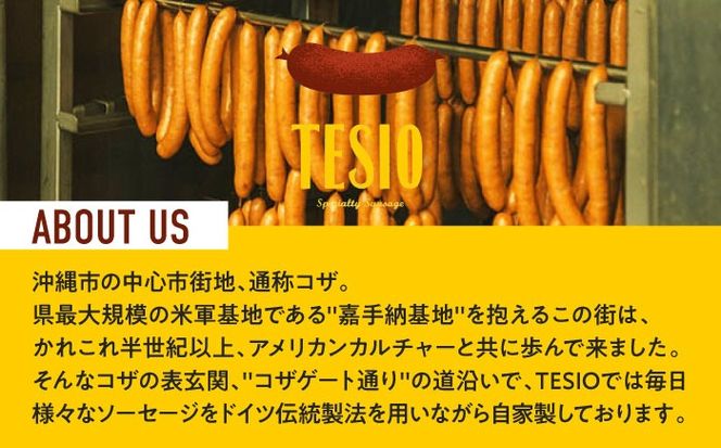 【全12回定期便】TESIOの自家製ハム＆ソーセージ 『手始めTESIOセット』 豚肉 ハム ソーセージ 小分け 真空パック 沖縄市 / TESIO[BCAD009]