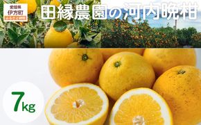 【先行予約】【家庭用】河内晩柑 7kg ※離島への配送不可 （2026年4月10日より順次発送） IKTA030