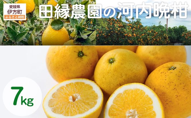 yQɕzys\zyƒpz͓ӊ 7kg ւ̔zs i2026N410菇j IKTA030