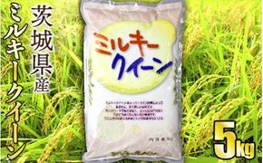 令和8年産 茨城ミルキークイーン 5kg（5kg×1袋）【お米・米・ミルキークイーン・5kg】