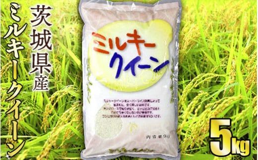 令和8年産 茨城ミルキークイーン 5kg（5kg×1袋）【お米・米・ミルキークイーン・5kg】