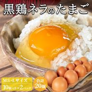 たかはし農園の放し飼い 黒鶏 ネラのたまご 10個×2 計20個 《京都 丹波産 放し飼い 希少 自然卵 平飼い 卵 有精卵 贈り物 ギフト 産地直送 健康食品 贈答》 