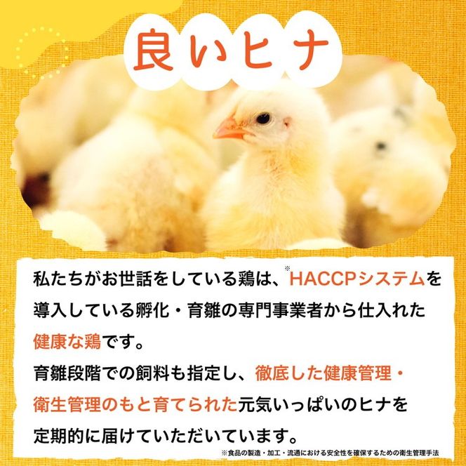 新鮮 卵 京都・丹波 霧の卵 30個（25個+卵割れ保証5個）生卵 たまご 鶏卵 小分け 贈答 ギフト◇ ※北海道・沖縄・離島への配送不可