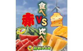1254.【先行予約】鳥取スイカの食べ比べ！2玉セット（赤肉すいか＆金色羅皇） 313726_CK005
